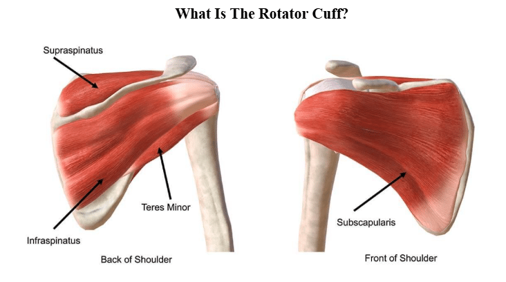 Rotator cuff injury prevention,Shoulder pain relief exercises,Causes of rotator cuff injuries,Best treatments for shoulder pain,Rotator cuff injury symptoms,Strengthening shoulder muscles,Common shoulder injuries in athletes,Rotator cuff tear rehabilitation,Musculoskeletal physiotherapy for shoulder injuries,rotator cuff muscles,Rotator Cuff Injuries